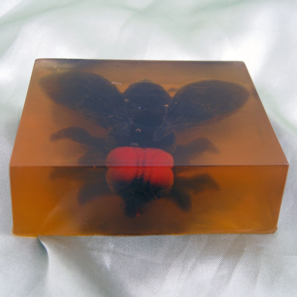 Forever Amber Fly in Amber Soap