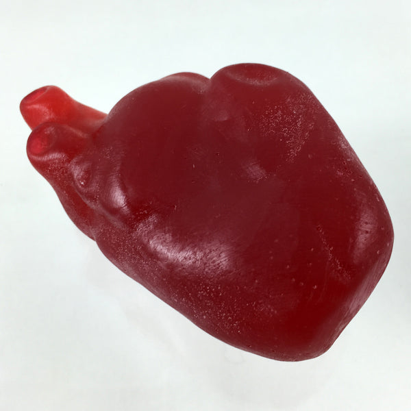 Heart On Anatomical Heart Soap