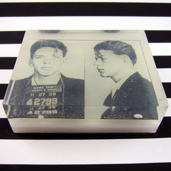 Ya Dirty Mug! Celebrity Mug Shot Picture Soap