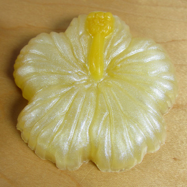 Bob's Favorite Hibiscus Soap Set